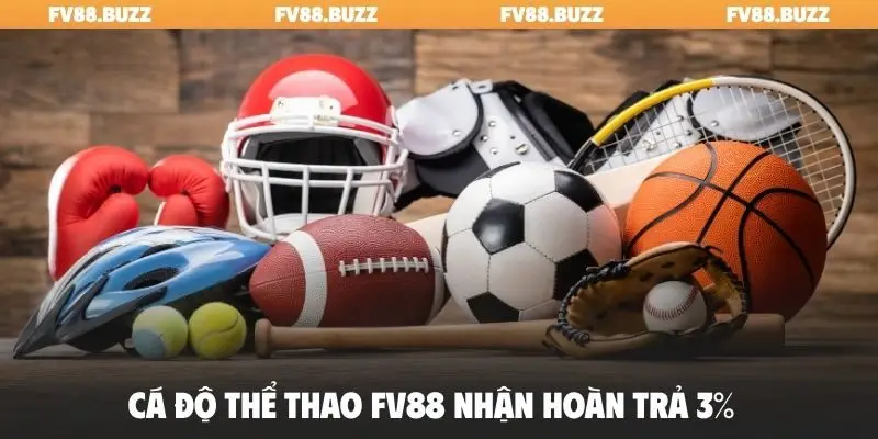 Cá độ thể thao FV88 nhận hoàn trả 3%
