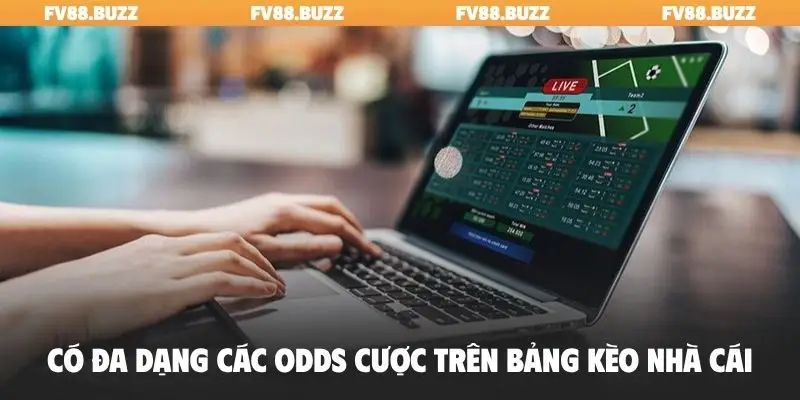 Có đa dạng các odds cược trên bảng kèo nhà cái