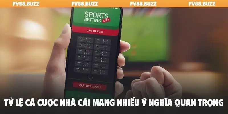 Tỷ lệ cá cược nhà cái mang nhiều ý nghĩa quan trọng